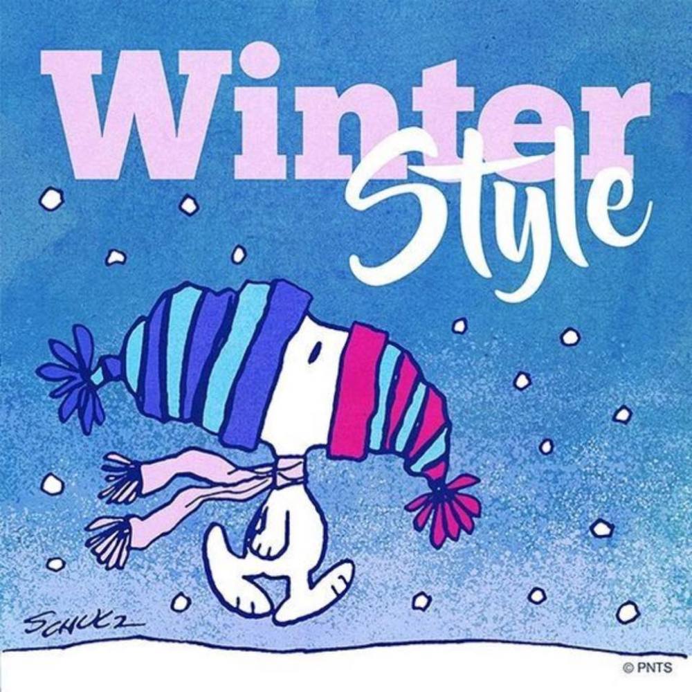 Meet your Posher, Paddiy